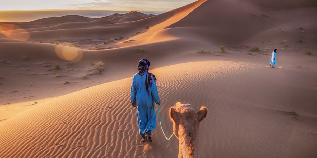 Étape de démarrage : WildyNess veut connecter les voyageurs de la région MENA avec des expériences locales