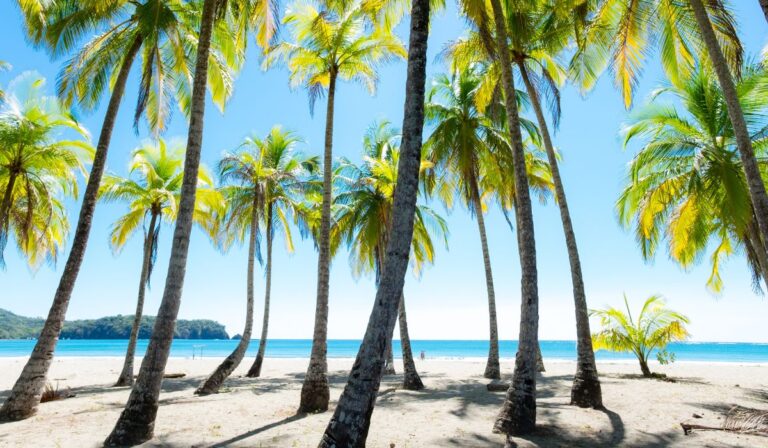 L&rsquo;ambassade américaine au Costa Rica met en garde contre la montée de la criminalité contre les étrangers
