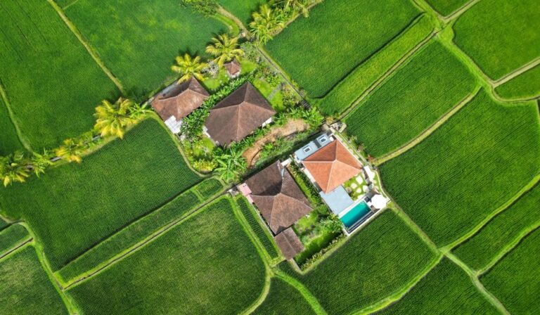 Comment une interdiction potentielle pourrait remodeler le tourisme sur l’île