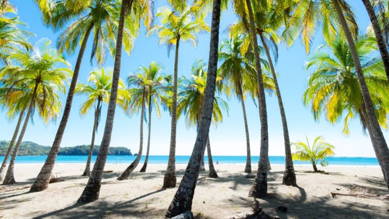Le Costa Rica est-il sûr à visiter ? Avis aux voyageurs 2026
