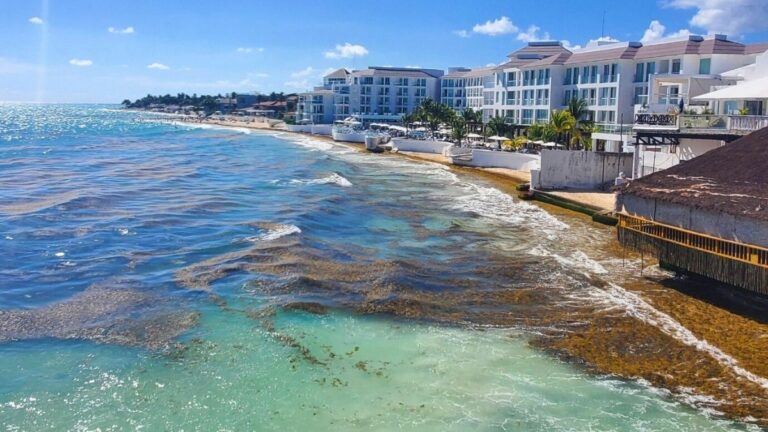 Les hotspots des Caraïbes voient déjà les premiers arrivants