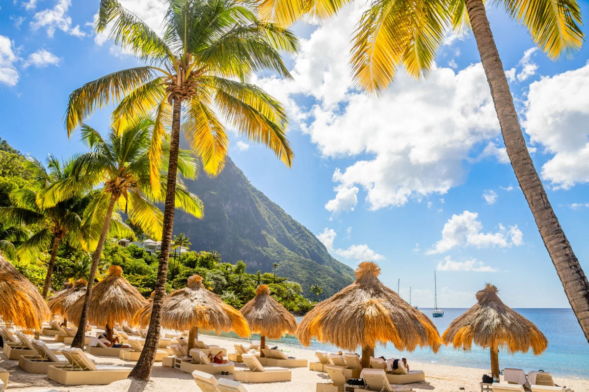 Plage des Caraïbes avec palmiers et umrellas de paille sur le rivage avec la montagne Gros Piton en arrière-plan, Sugar Beach, Sainte-Lucie