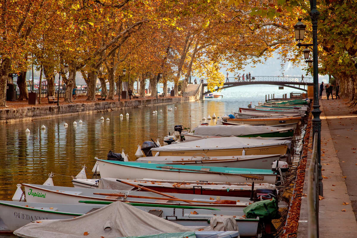 Feuillage d'automne à Annecy, France