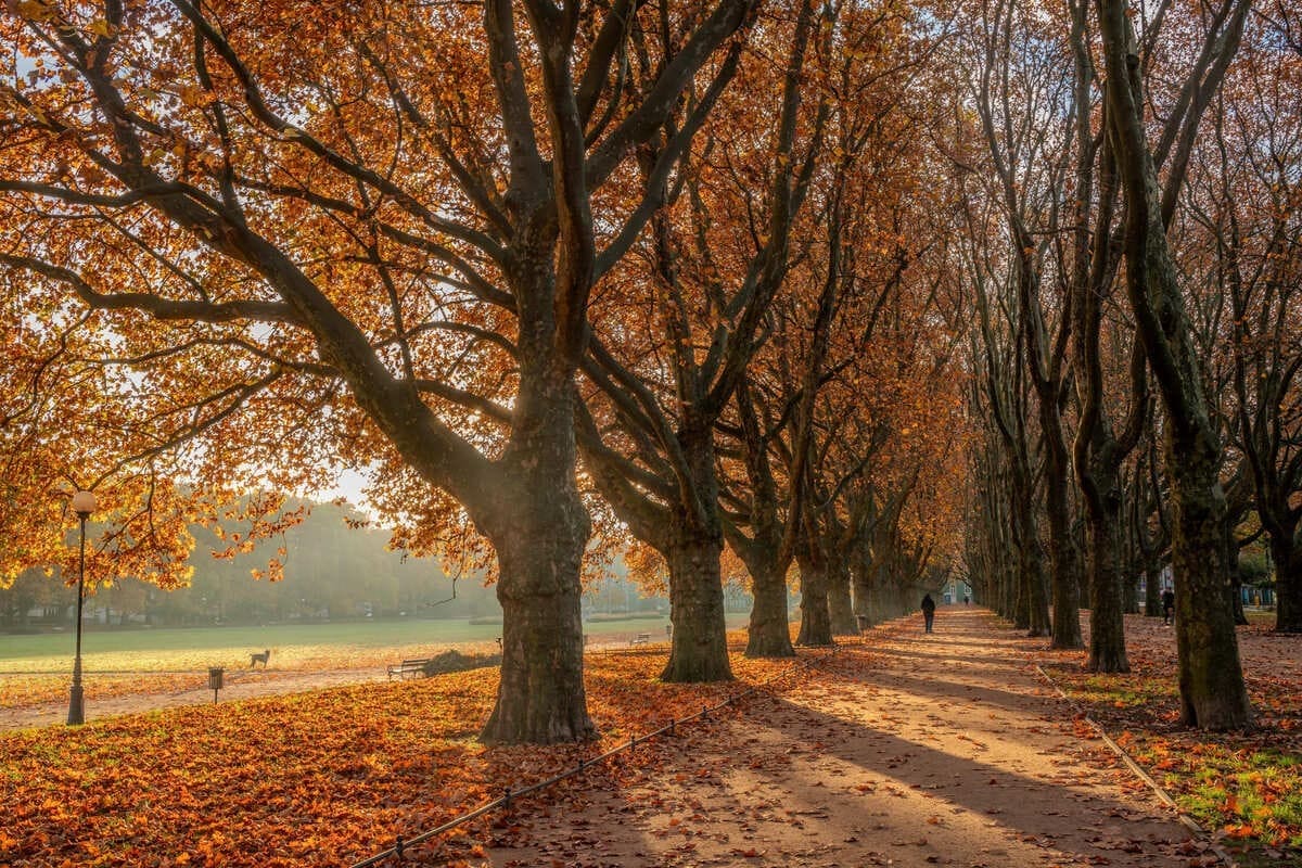 Bord de rivière pittoresque à Szczecin, Pologne