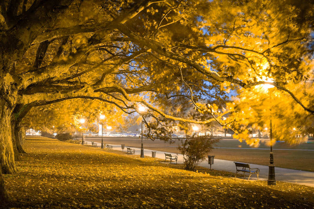 Scènes d'automne dans UN parc à Szczecin, Pologne