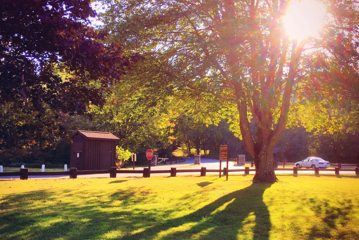 Lumière du soleil à travers les feuilles des arbres avec l'ombre sur l'herbe dans le parc national de Black Rock en Nouvelle-Angleterre Connecticut États-Unis.