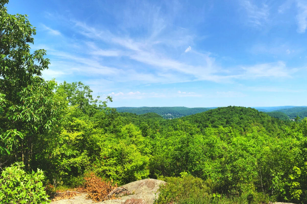Vue panoramique estivale au nord depuis le sentier Mattatuck qui serpente à travers le comté de Litchfield et le comté de New Haven, au sommet de Black Rock, dans l'ouest du Connecticut, aux États-Unis.