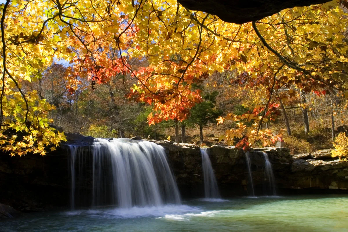 L’automne entoure Falling Water Falls avec des couleurs automnales spectaculaires sur les feuilles. Forêt nationale d'Ozark, Arkansas