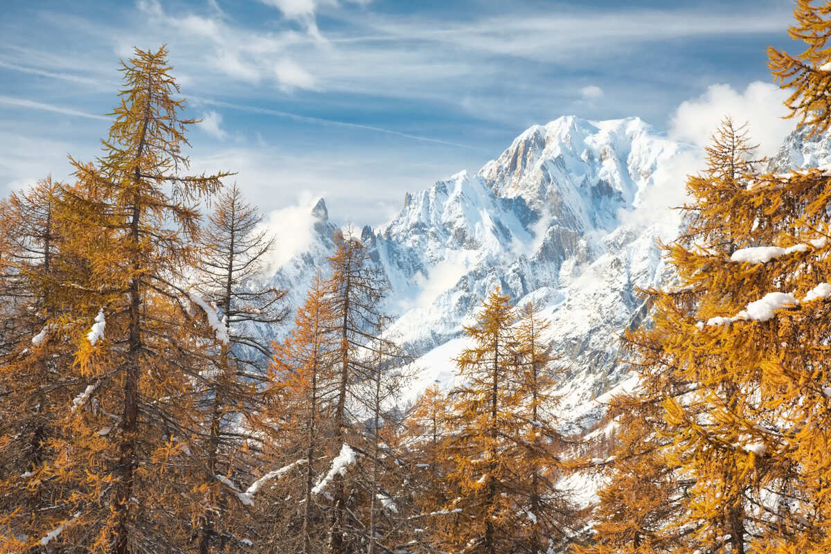 Forêt d'automne à Courmayeur, Italie