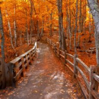 5 destinations de feuillage d&rsquo;automne sous le radar à visiter à travers les États-Unis pour 100 $/nuit avant l&rsquo;arrivée des foules qui observent les feuilles