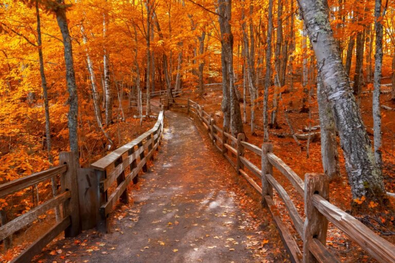 5 destinations de feuillage d&rsquo;automne sous le radar à visiter à travers les États-Unis pour 100 $/nuit avant l&rsquo;arrivée des foules qui observent les feuilles