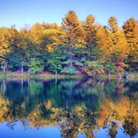Entre New York et Boston se trouve le parc d&rsquo;État tranquille du Connecticut avec un lac naturel et des cabanes boisées