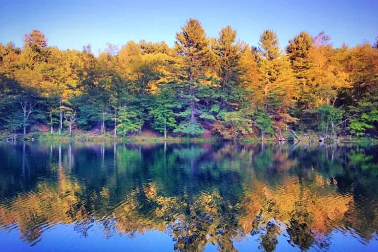 Entre New York et Boston se trouve le parc d&rsquo;État tranquille du Connecticut avec un lac naturel et des cabanes boisées