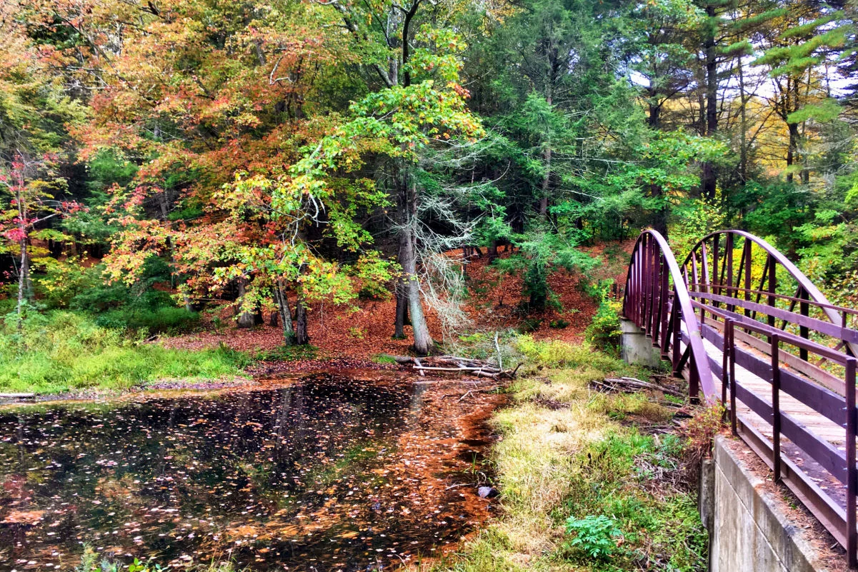 Pont en acier du parc national de Black Rock à l'automne à Torrington, Nouvelle-Angleterre, Connecticut, États-Unis.