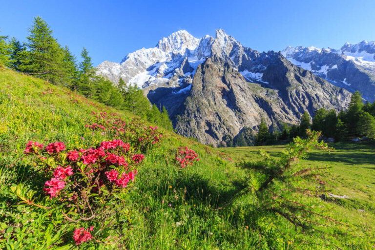 Les Américains affluent vers cette région alpine d’Italie aux montagnes épiques