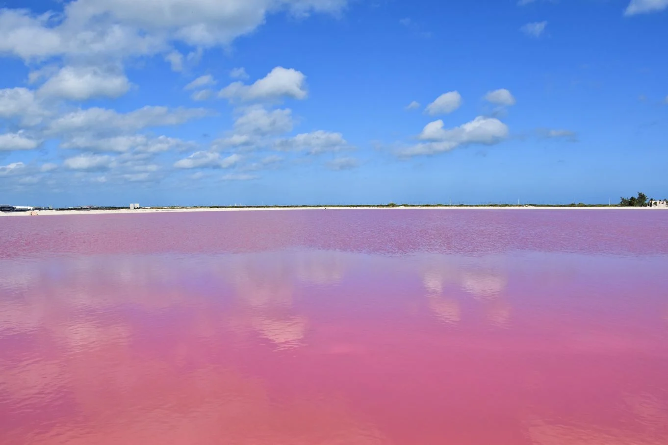 Las Coloradas (Yucatan)