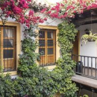 Fatigué des Airbnbs à l’emporte-pièce ? Pourquoi vous devez commencer à utiliser la règle « Une seule annonce »