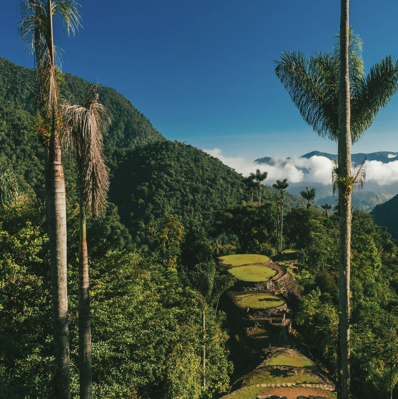 Cité perdue dans le parc national Tayrona. Sainte Marta