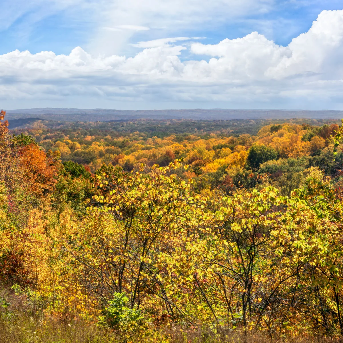 Le parc d'État du comté de Brown, dans l'Indiana, est réputé pour ses magnifiques vues sur le feuillage d'automne montrant des feuilles d'automne de nombreuses couleurs sous un ciel bleu nuageux.