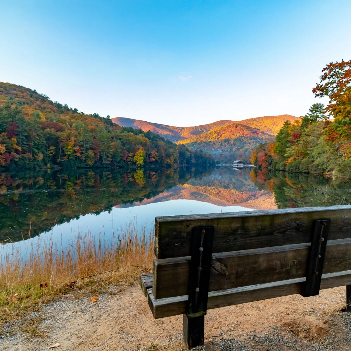 Une belle vue sur le parc national de Vogel, Géorgie