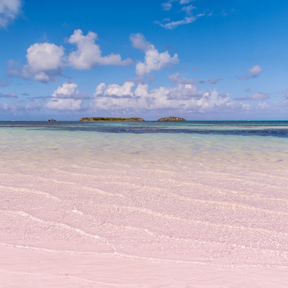 Plage de sable rose des Bahamas