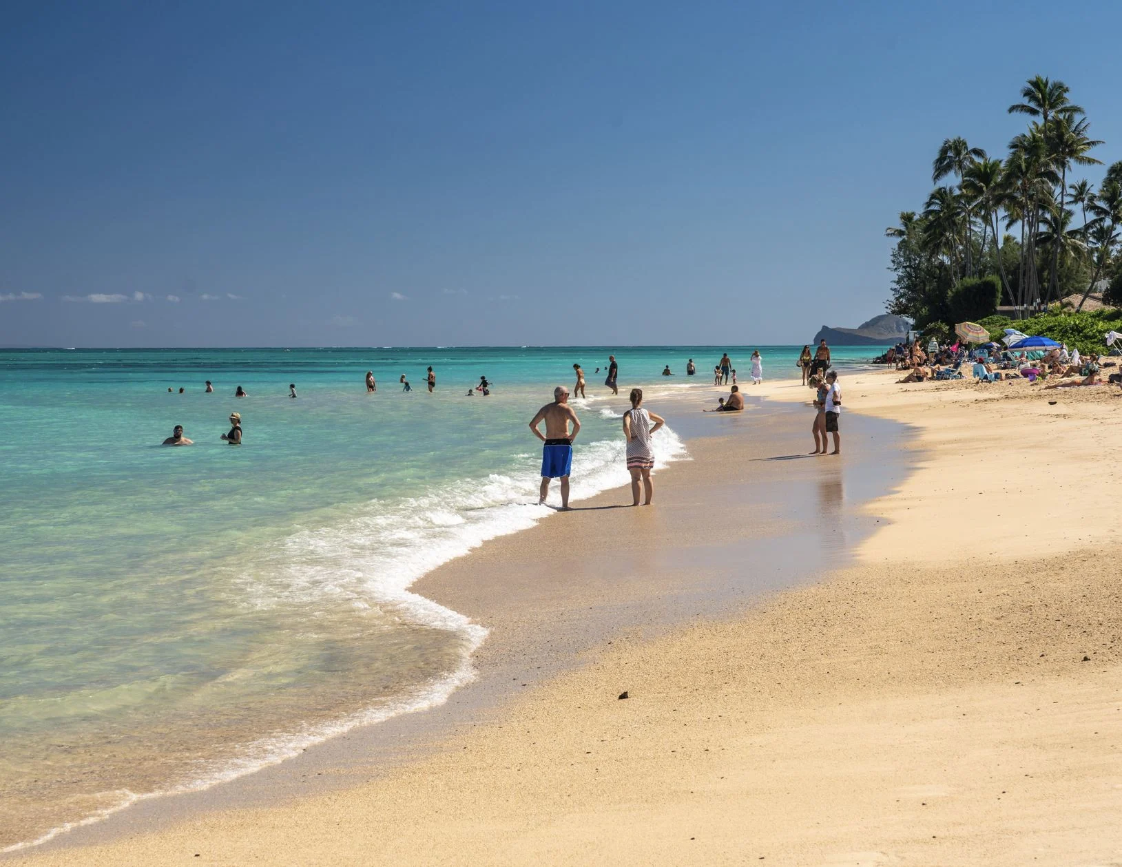 Laniakea Beach foule Oahu
