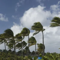 Devriez-vous annuler vos vacances au Mexique en raison de l’ouragan Polo ?