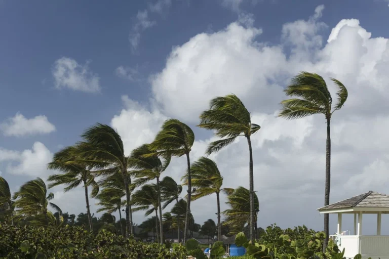 Devriez-vous annuler vos vacances au Mexique en raison de l’ouragan Polo ?