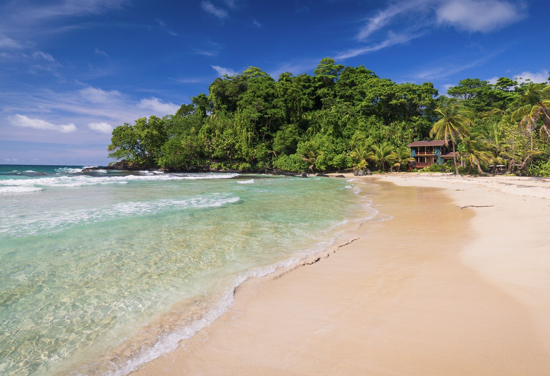 La célèbre plage de grenouille rouge sur l'île Basimentos, Bocas del Toro, Panama