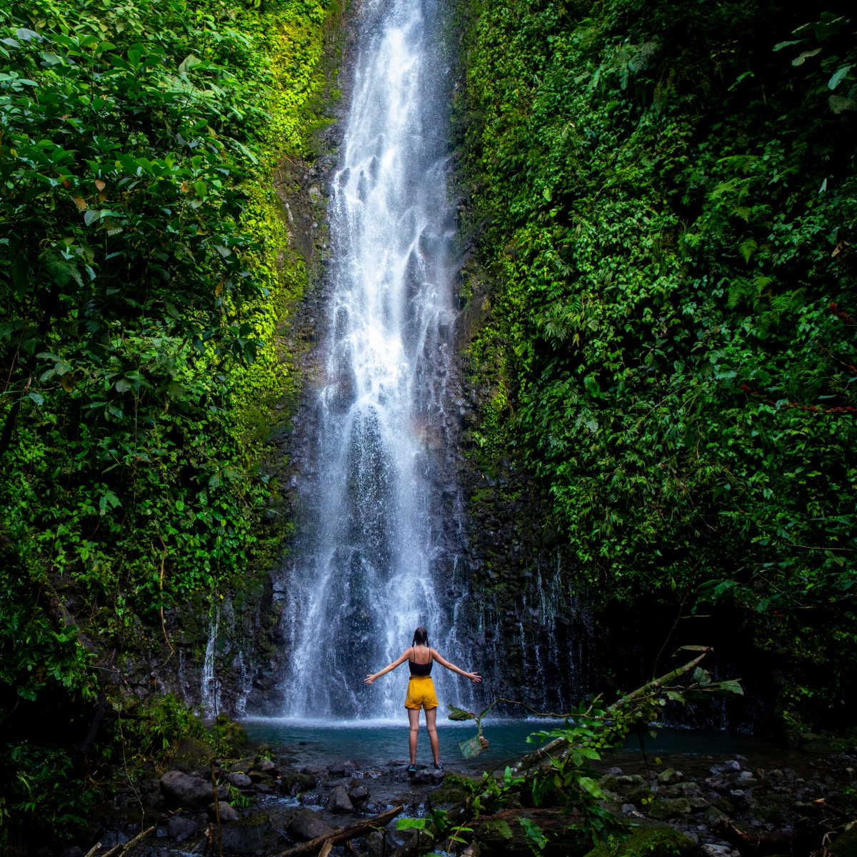 Cascade tropicale au Costa Rica