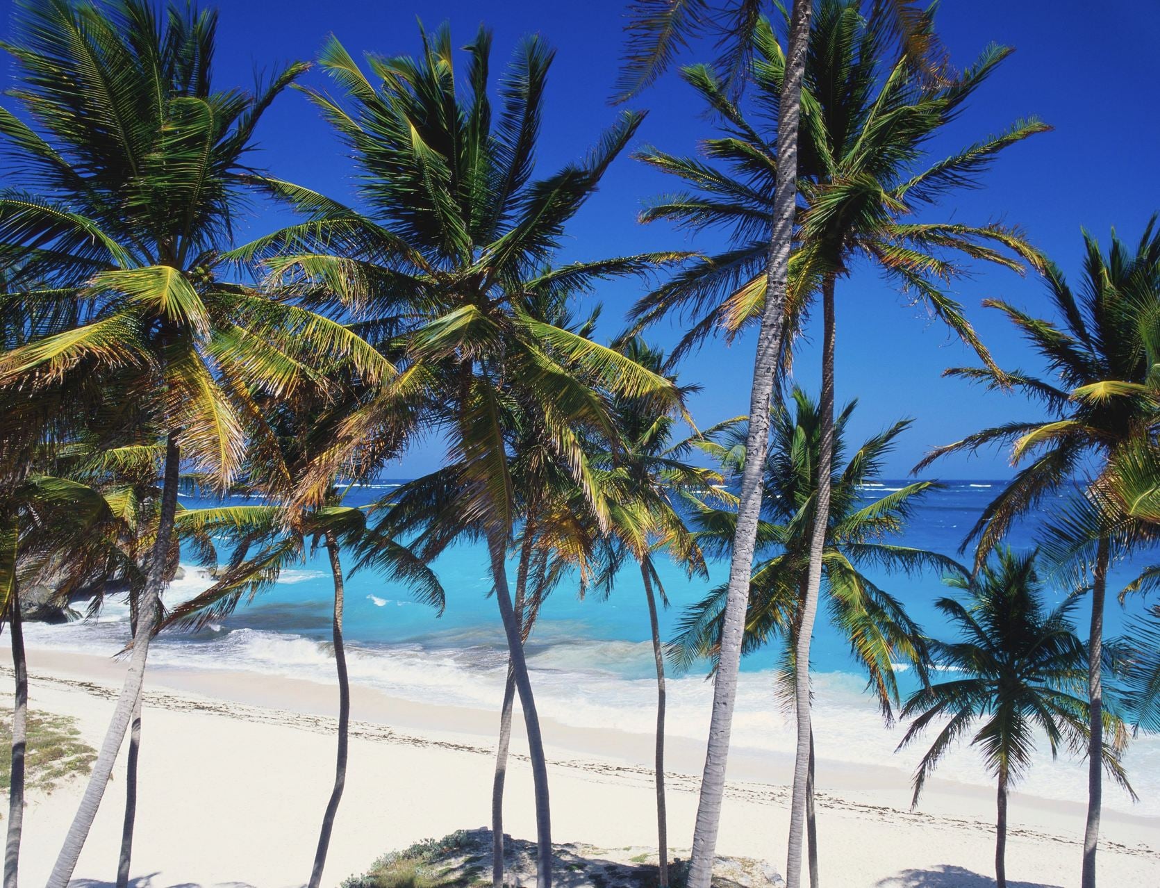 Vue de la baie inférieure, de la Barbade, des Caraïbes