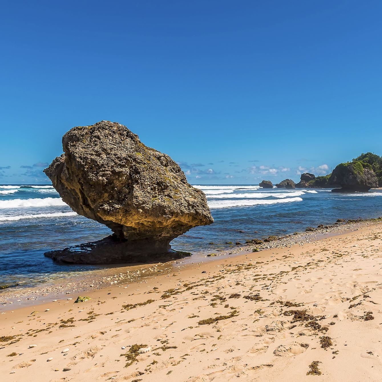 Une vue sur les rochers coupés par vagues sur la plage de Bathsheba, sur la côte atlantique de la Barbade