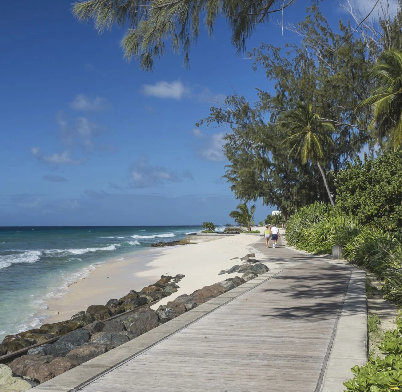 Promenade en bois de la côte sud qui longe une partie du littoral à Accra Beach, Barbade, Antilles.