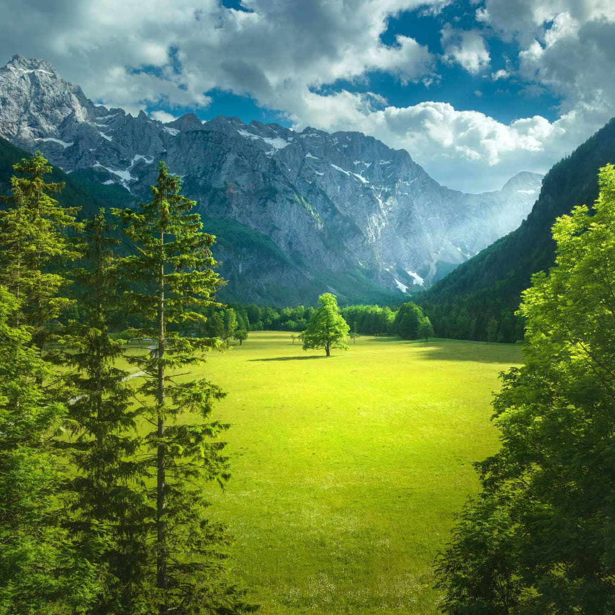 La vallée alpine du Logar en Slovénie