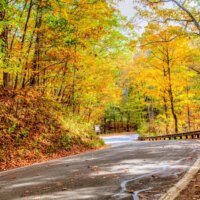 Cette route panoramique de 20 milles dans le Michigan est appelée le « tunnel des arbres » et elle est spectaculaire à l&rsquo;automne