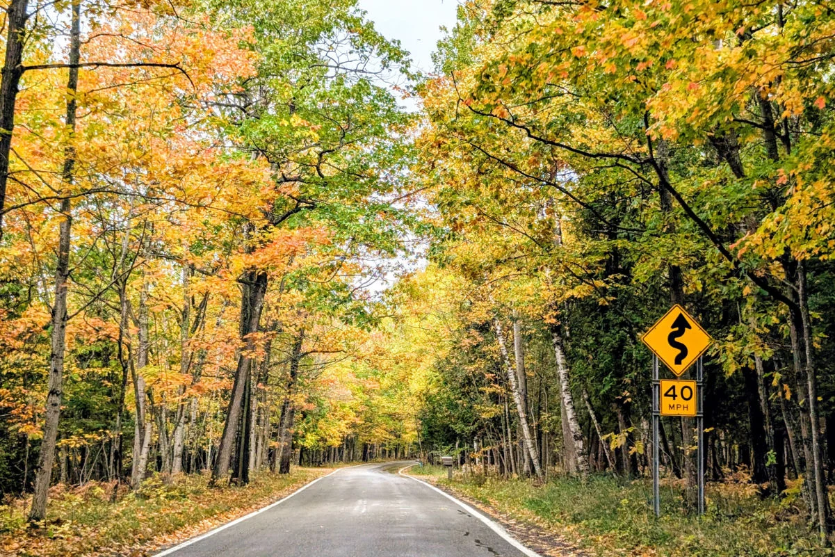 M-119 Tunnel d'arbres Route panoramique Feuilles d'automne Couleurs d'automne Petoskey Harbor Springs Cross Village Michigan États-Unis Amérique du Nord