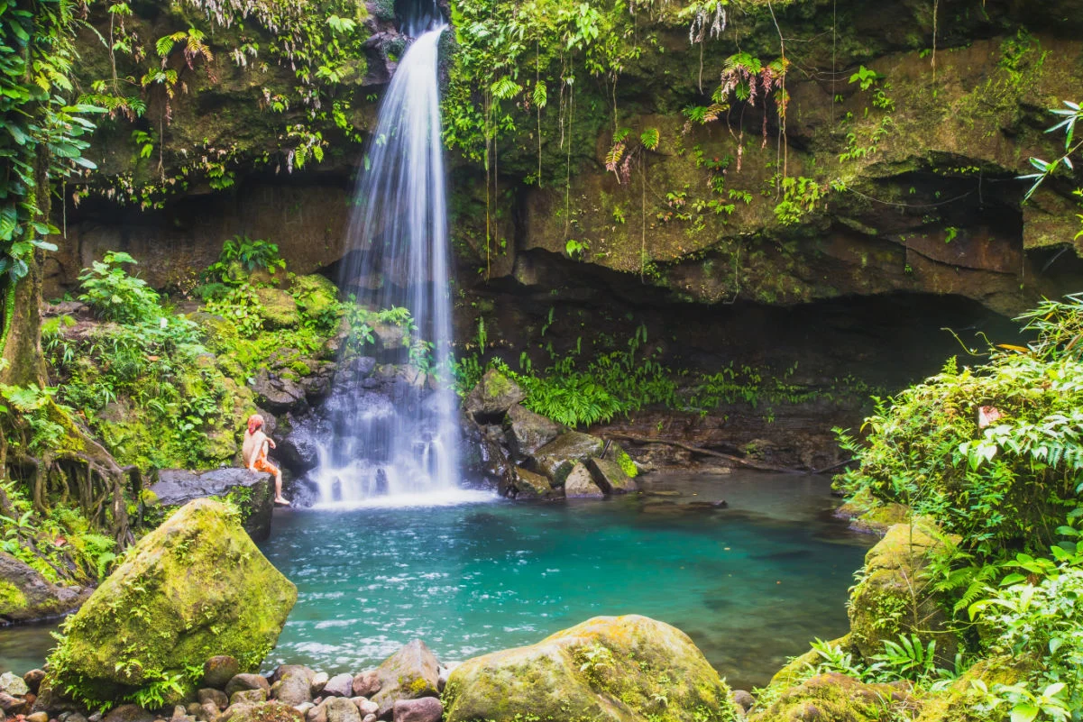 Un nageur profitant de l'Emerald Pool dans la forêt tropicale luxuriante, la cascade est un magnifique joyau de la Dominique dans les Caraïbes