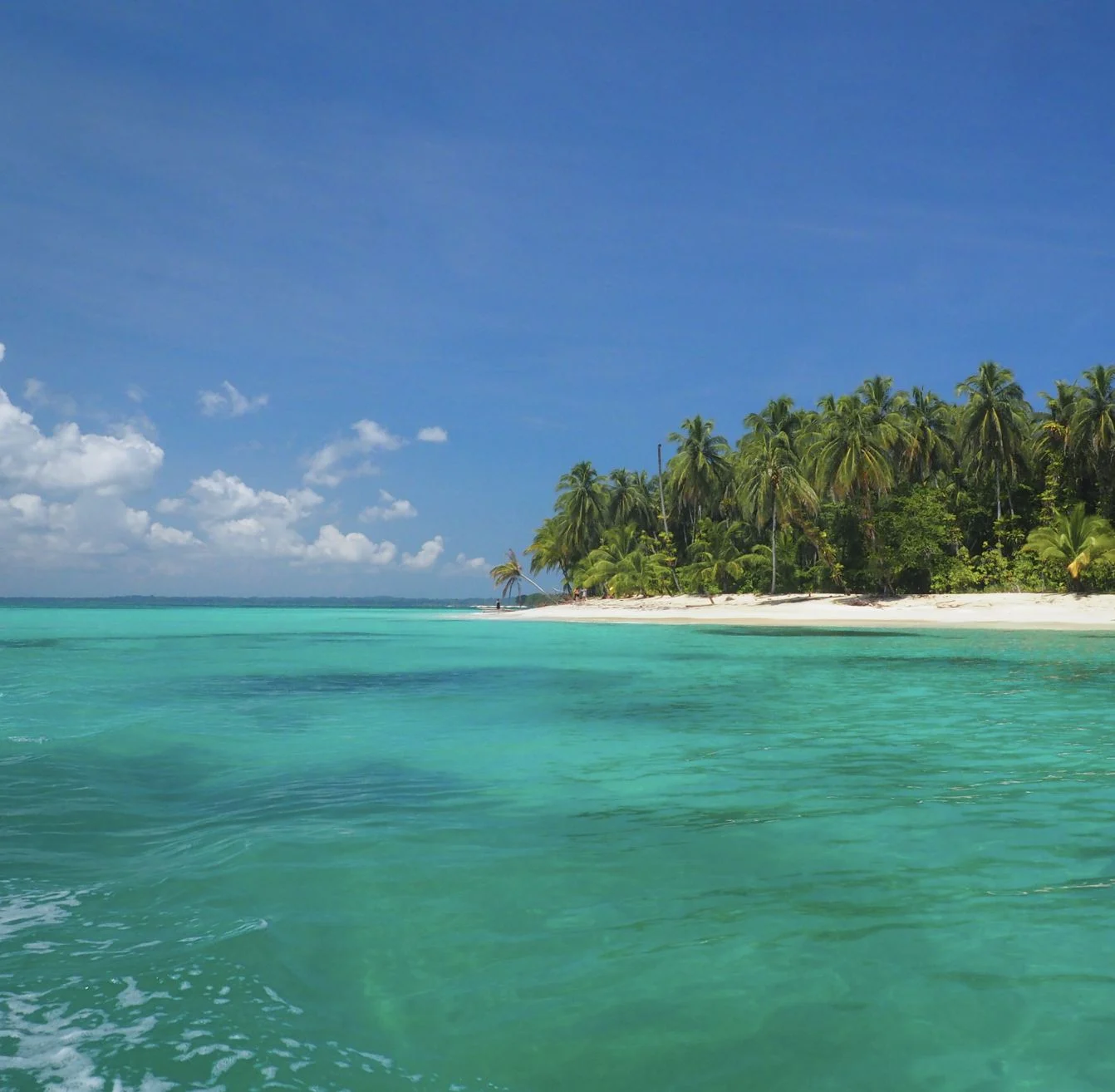 Île Cayo Zapatilla à Bocas del Toro, Panama