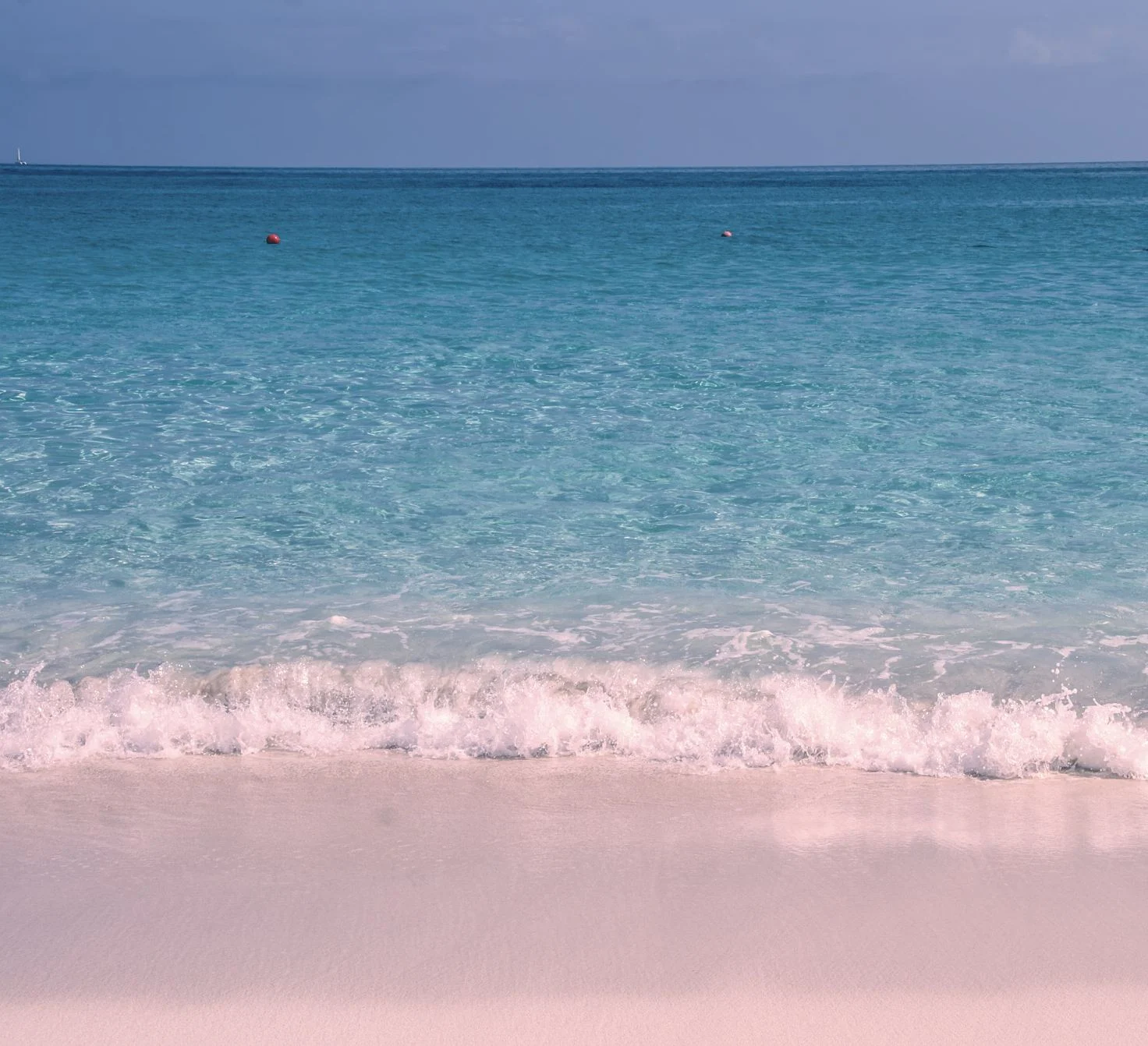 Plage de sable rose sur Harbour Island, Bahamas.