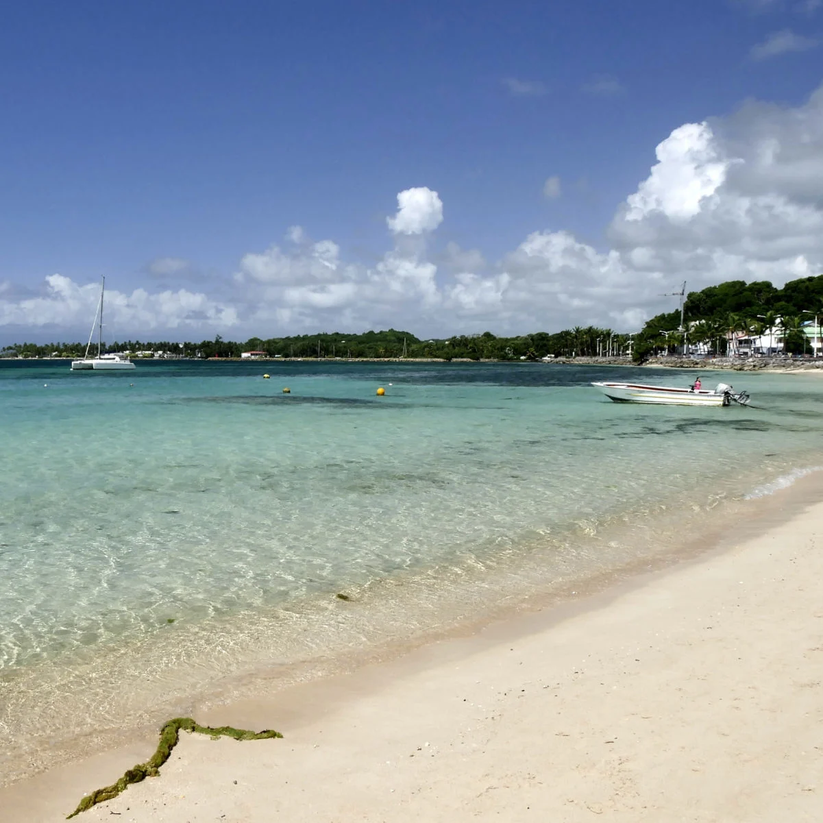 Plage idyllique à Sainte Anne, Guadeloupe. Plage du bourg avec mer, sable et soleil aux Petites Antilles