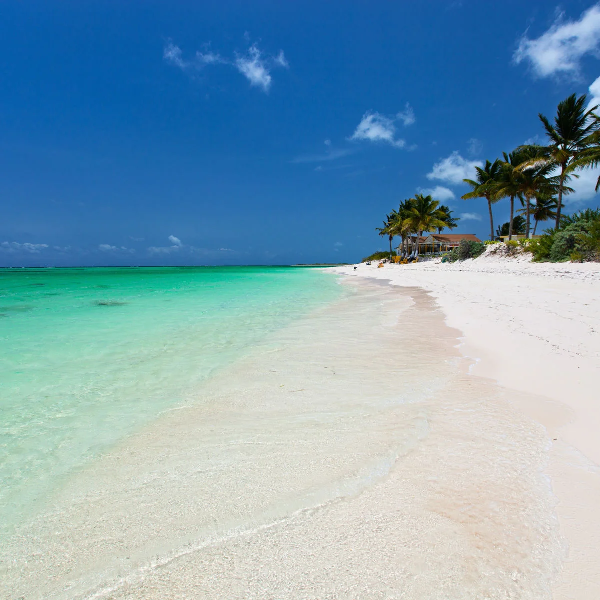 Belle plage tropicale avec palmiers, sable blanc, eau turquoise de l'océan et ciel bleu à Anegada, îles Vierges britanniques dans les Caraïbes