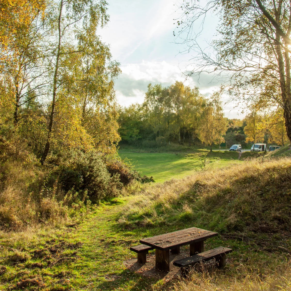 Paysage d'automne dans la forêt de Dean, en Angleterre.