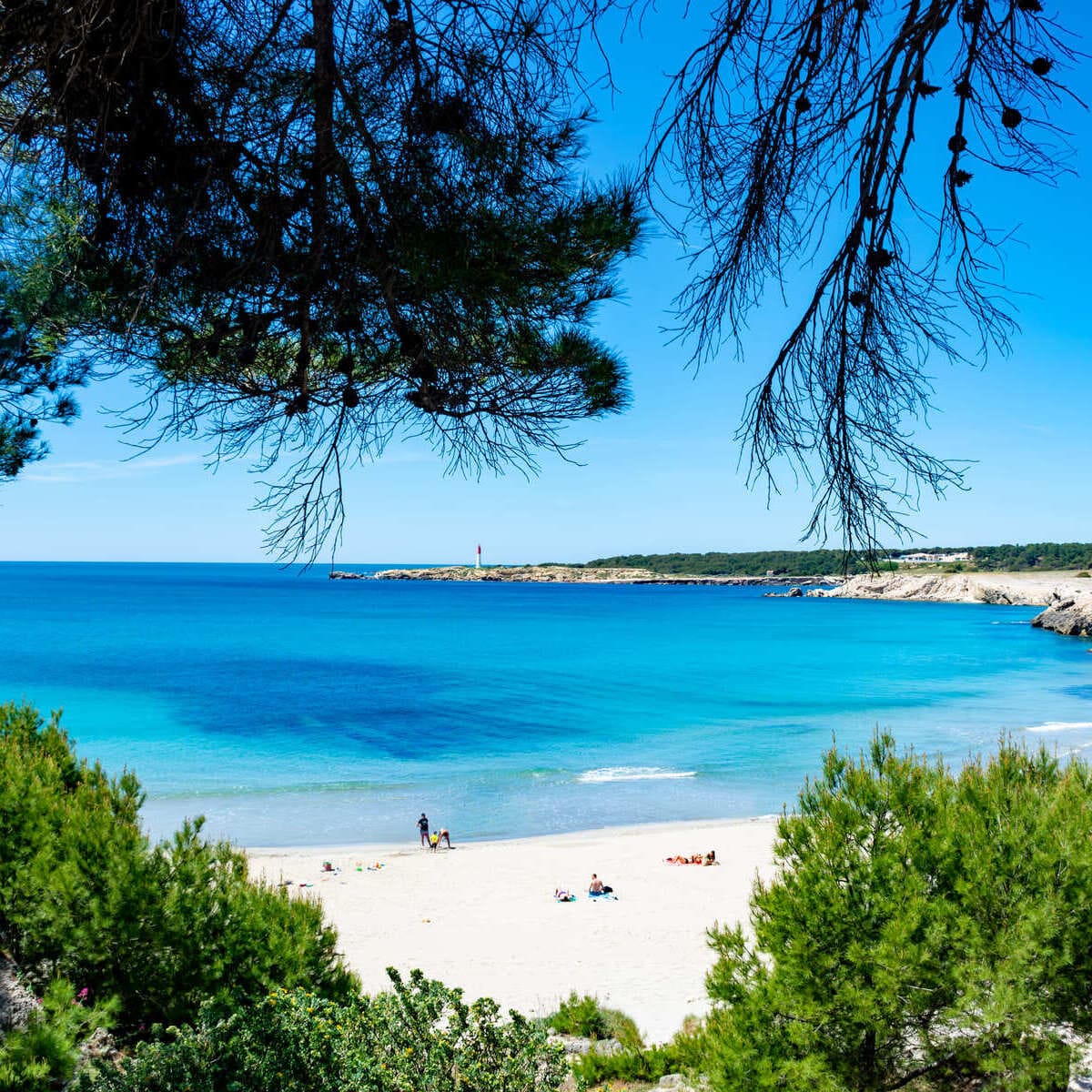 Une plage à Sainte-Croix, îles Vierges américaines dans les Caraïbes