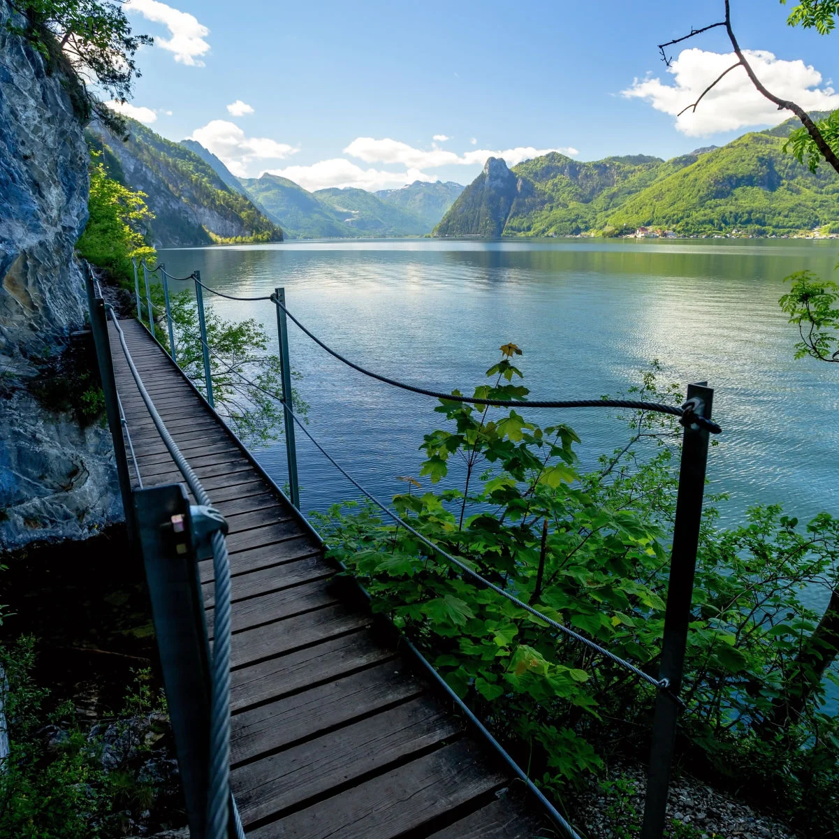 Passerelle en bois sur le sentier de randonnée Miesweg au-dessus du lac Traunsee, entourée d'une végétation printanière luxuriante et de montagnes calcaires spectaculaires dans la région autrichienne du Salzkammergut.