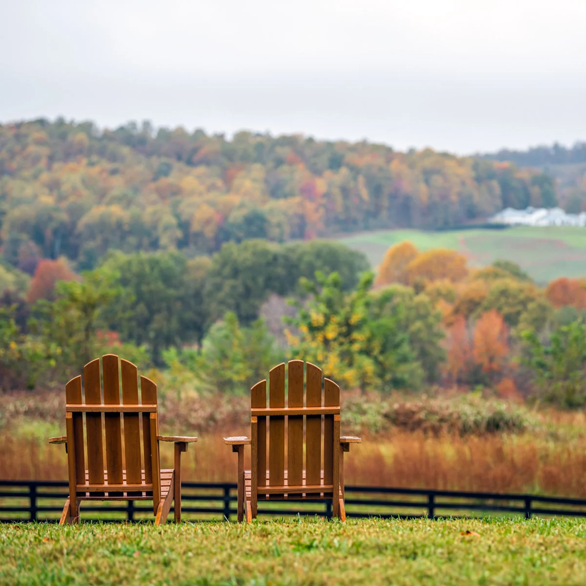 Chaises en bois vides en automne saison du feuillage d'automne campagne au vignoble de Charlottesville dans les montagnes de la crête bleue de Virginie avec ciel nuageux jour