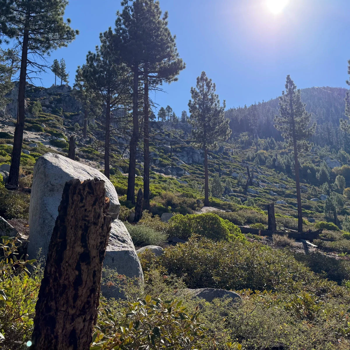 Sentiers de South Lake Tahoe, photo de Tyler Fox