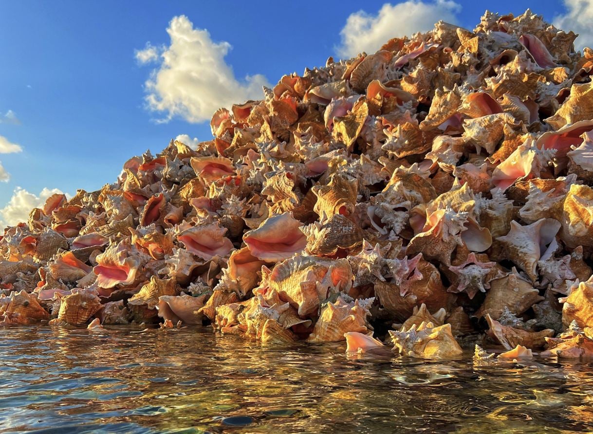 Île Conch Anegada Îles Vierges britanniques
