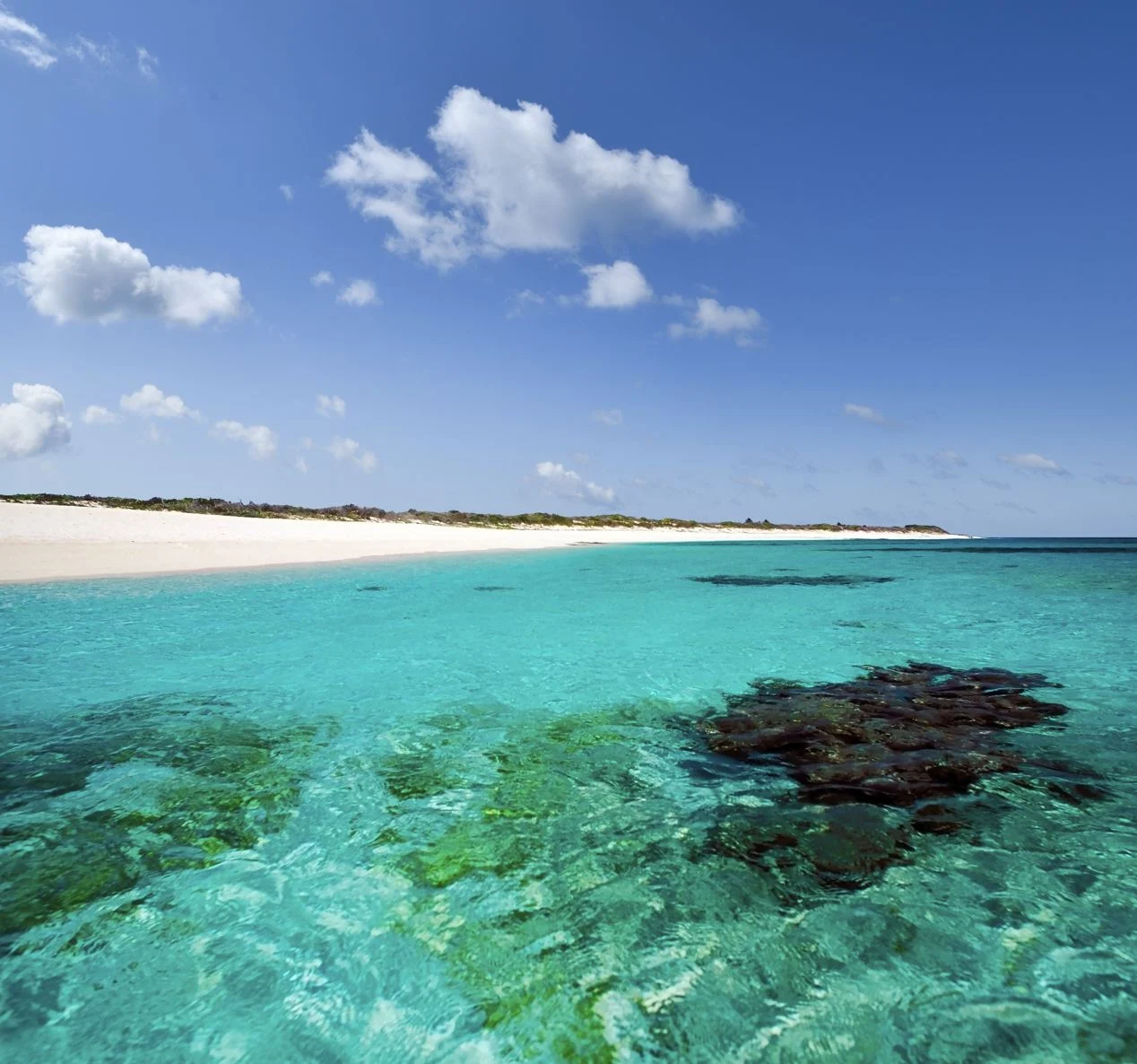 ÎLE D'ANEGADA