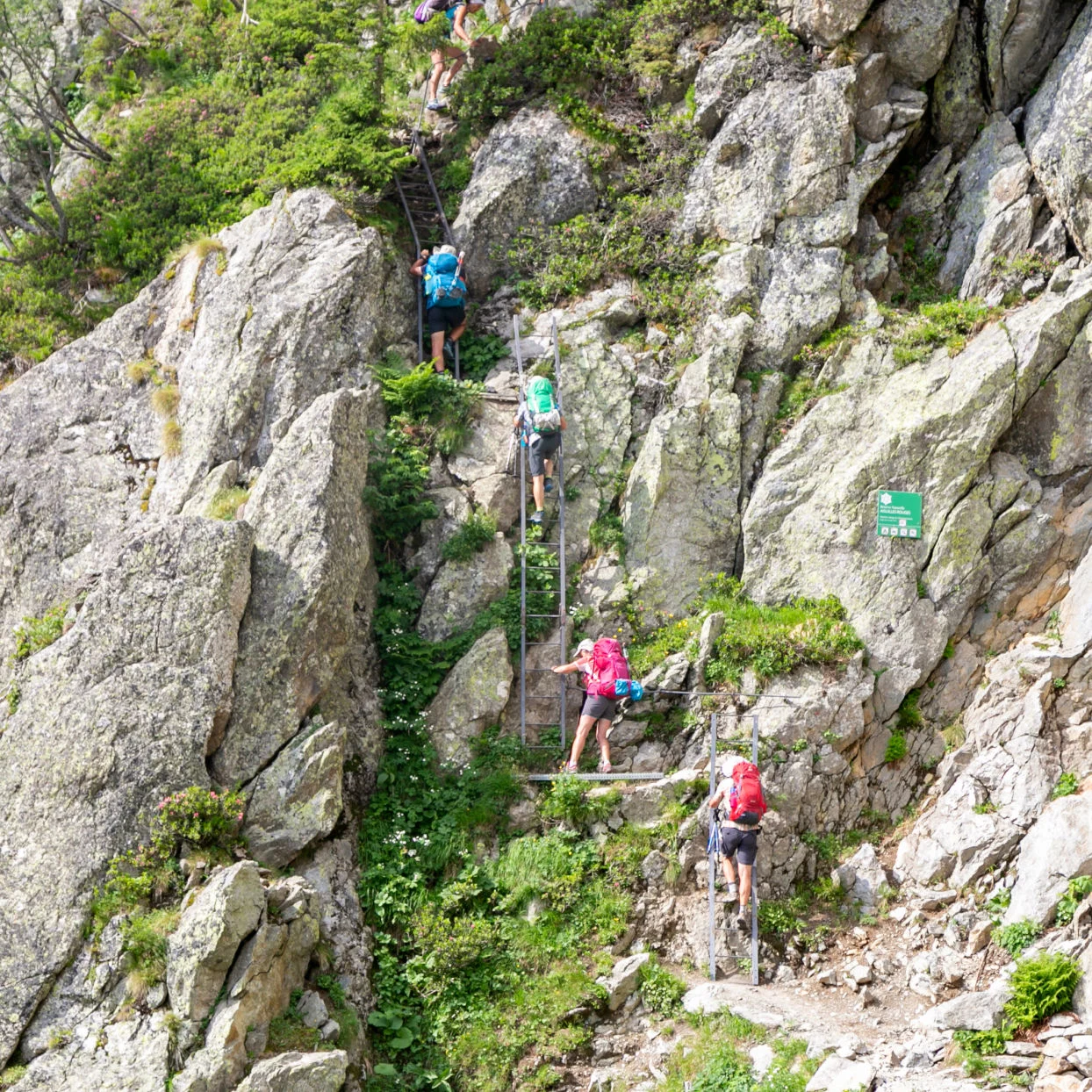 Randonneurs escaladant les spectaculaires sections d'échelle immédiatement après l'Aiguillette d'Argentière. Une partie de l'itinéraire de randonnée panoramique du Tour du Mont Blanc, dans les Alpes françaises