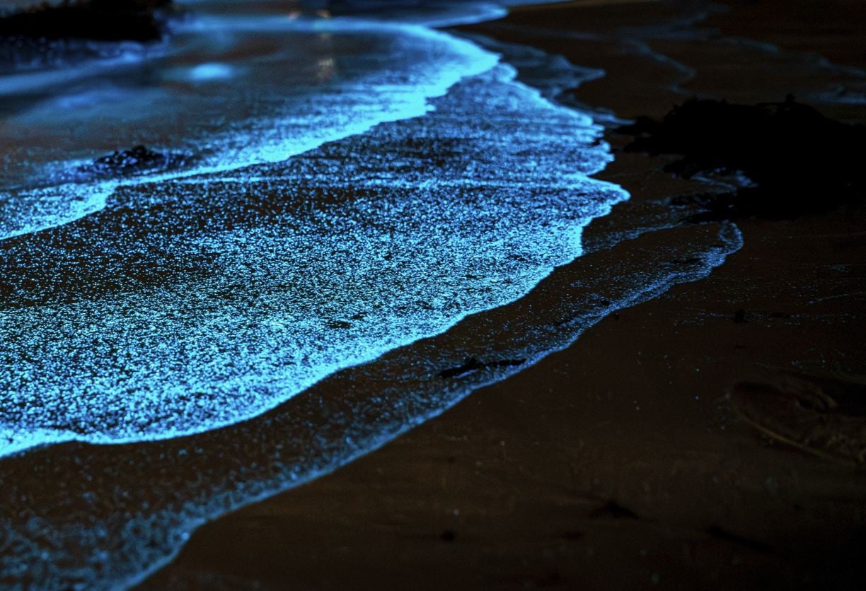 Baignade nocturne